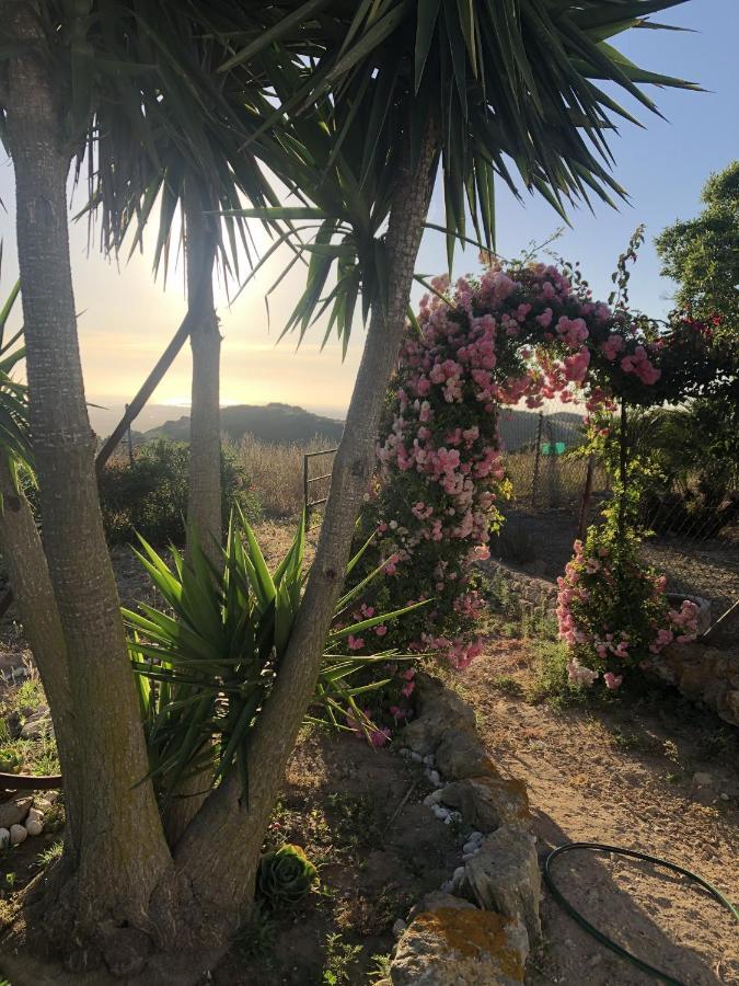 Las Ninas Vejer de la Frontera Extérieur photo